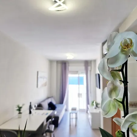 Apartamento Aa Guest - Poeta Eco
